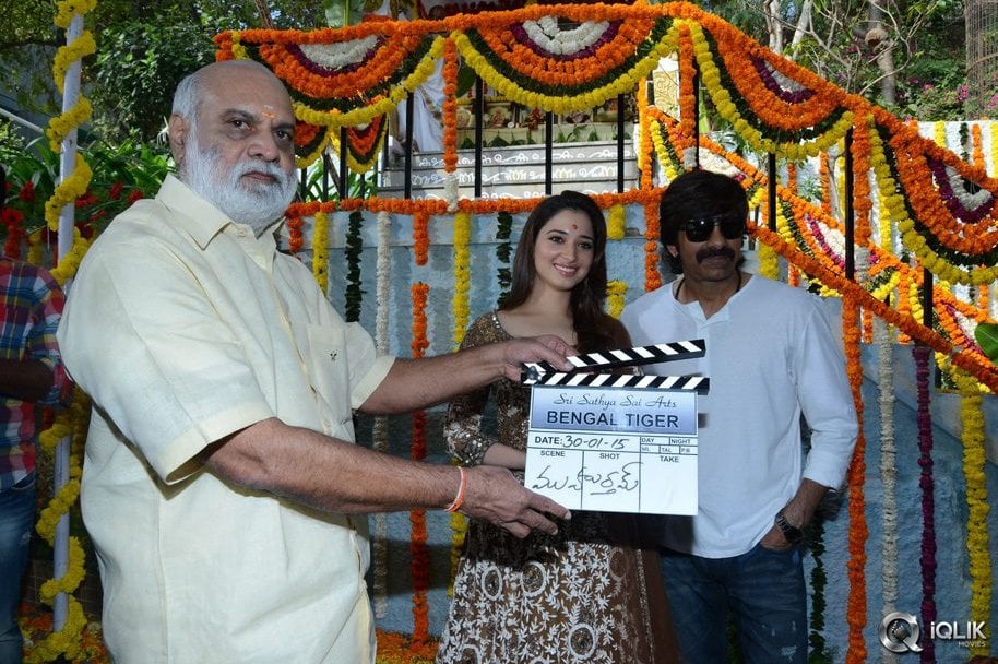 Bengal-Tiger-Movie-Opening